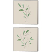 Framed 'Wispy Leaf 2 Piece Canvas Print Set' border=
