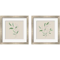 Framed 'Wispy Leaf 2 Piece Framed Art Print Set' border=