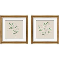 Framed 'Wispy Leaf 2 Piece Framed Art Print Set' border=