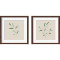 Framed Wispy Leaf 2 Piece Framed Art Print Set