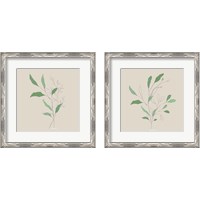 Framed 'Wispy Leaf 2 Piece Framed Art Print Set' border=
