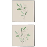 Framed Wispy Leaf 2 Piece Canvas Print Set