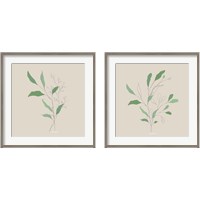 Framed 'Wispy Leaf 2 Piece Framed Art Print Set' border=