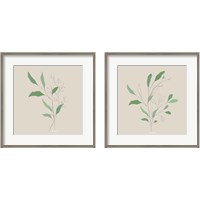 Framed 'Wispy Leaf 2 Piece Framed Art Print Set' border=