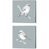 Framed Bird Study on Blue 2 Piece Canvas Print Set