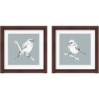 Framed Bird Study on Blue 2 Piece Framed Art Print Set