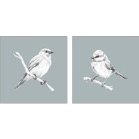 Framed 'Bird Study on Blue 2 Piece Art Print Set' border=