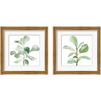 Framed Fiddle Fig Leaf Plant 2 Piece Framed Art Print Set