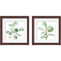 Framed Fiddle Fig Leaf Plant 2 Piece Framed Art Print Set