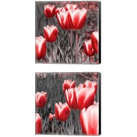 Framed Red Tulips 2 Piece Canvas Print Set