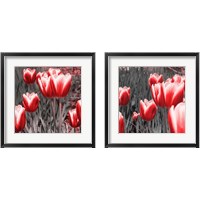 Framed 'Red Tulips 2 Piece Framed Art Print Set' border=