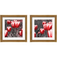 Framed 'Red Tulips 2 Piece Framed Art Print Set' border=