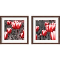 Framed 'Red Tulips 2 Piece Framed Art Print Set' border=