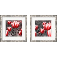 Framed 'Red Tulips 2 Piece Framed Art Print Set' border=