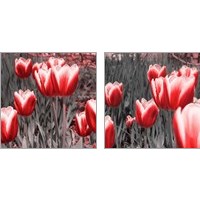 Framed 'Red Tulips 2 Piece Art Print Set' border=