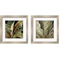 Framed Uraba Palm on Black 2 Piece Framed Art Print Set