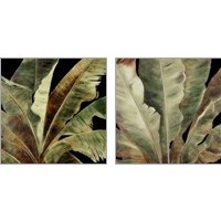 Framed 'Uraba Palm on Black 2 Piece Art Print Set' border=