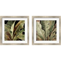 Framed 'Uraba Palm on Black 2 Piece Framed Art Print Set' border=