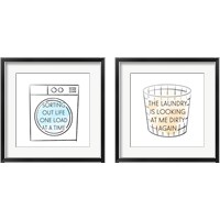 Framed Laundry 2 Piece Framed Art Print Set