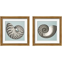 Framed Noir Shell on Teal 2 Piece Framed Art Print Set