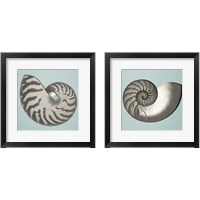 Framed 'Noir Shell on Teal 2 Piece Framed Art Print Set' border=