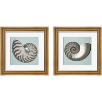 Framed 'Noir Shell on Teal 2 Piece Framed Art Print Set' border=