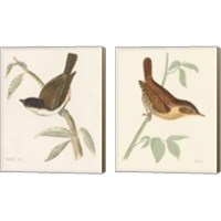 Framed Engraved Birds 2 Piece Canvas Print Set