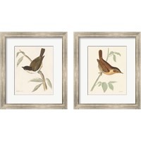 Framed 'Engraved Birds 2 Piece Framed Art Print Set' border=