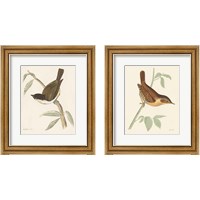 Framed Engraved Birds 2 Piece Framed Art Print Set