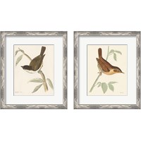 Framed 'Engraved Birds 2 Piece Framed Art Print Set' border=