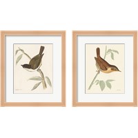 Framed Engraved Birds 2 Piece Framed Art Print Set