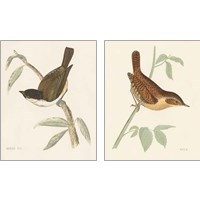 Framed Engraved Birds 2 Piece Art Print Set