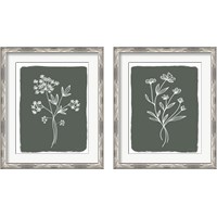 Framed 'Green Botanical 2 Piece Framed Art Print Set' border=