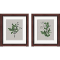 Framed Line Botanical 2 Piece Framed Art Print Set