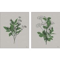 Framed 'Line Botanical 2 Piece Art Print Set' border=