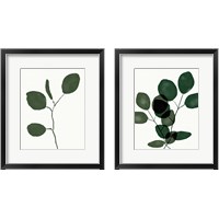 Framed 'Green Eucalyptus 2 Piece Framed Art Print Set' border=