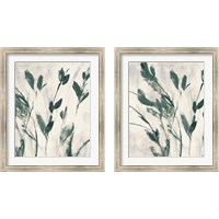 Framed 'Green Misty Leaves 2 Piece Framed Art Print Set' border=
