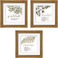 Framed 'Inspirational Botanical 3 Piece Framed Art Print Set' border=