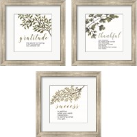 Framed 'Inspirational Botanical 3 Piece Framed Art Print Set' border=