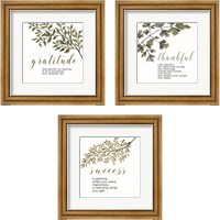 Framed 'Inspirational Botanical 3 Piece Framed Art Print Set' border=