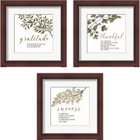 Framed Inspirational Botanical 3 Piece Framed Art Print Set