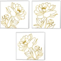 Framed 'Gold Floral 3 Piece Canvas Print Set' border=