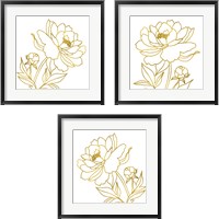 Framed 'Gold Floral 3 Piece Framed Art Print Set' border=