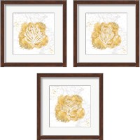 Framed Golden Coral 3 Piece Framed Art Print Set