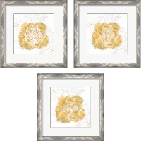 Framed 'Golden Coral 3 Piece Framed Art Print Set' border=