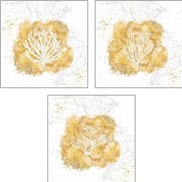 Framed 'Golden Coral 3 Piece Art Print Set' border=