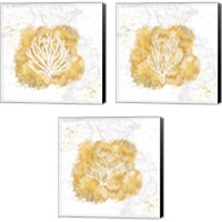 Framed 'Golden Coral 3 Piece Canvas Print Set' border=