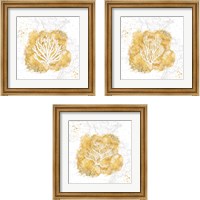 Framed 'Golden Coral 3 Piece Framed Art Print Set' border=