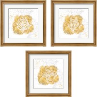 Framed Golden Coral 3 Piece Framed Art Print Set