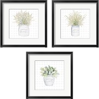 Framed 'Garden Plants 3 Piece Framed Art Print Set' border=
